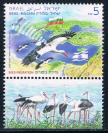 Israël - Faune : Oiseaux Migrateurs (Cigognes) 2438 (année 2016) Oblit. - Usados (con Tab)