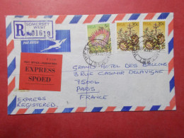 Marcophilie - Lettre Recommandée Enveloppe Timbres Afrique Du Sud Destination France (B41) - Brieven En Documenten