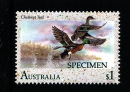 AUSTRALIA - 1992  $  1  CHESTNUT  TEAL  SPECIMEN  OVERPRINTED  MINT NH - Abarten Und Kuriositäten