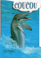 CPM - DAUPHIN - COUCOU - Dolfijnen