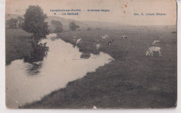 Cpalavacherie  Vaches - Sainte-Ode