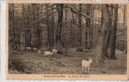 Cpal Laneuville Au Bois   Chévres - Tenneville