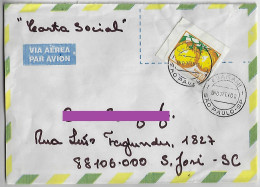 Brazil 2000 Cover Stamp R$0,01 Orange Fruit Social Letter Rate Sent From São Paulo Agency Guarani To São Jose Indigenous - Covers & Documents