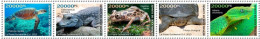 GUINEA GUINEE 2023 STRIP 5V - REPTILES FROGS TURTLES TURTLE CROCODILES SNAKES TORTUES SERPENTS - MNH - Frogs