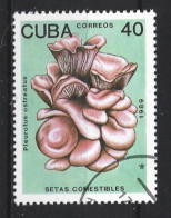 Cuba 1989 Flower Y.T. 2911 (0) - Usados