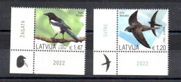 LETTONIE - LATVIA - 2022 - OISEAUX - BIRDS - - Lettonie