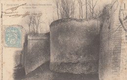 PICQUIGNY (Somme): Ruines Du Vieux Château Féodal - La Grosse Tour - Picquigny