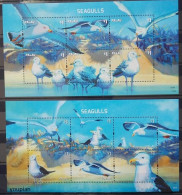 Palau 2014, Seagulls, Two MNH S/S - Palau