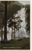 COLOURED POSTCARD - WATERFALL IN POWERSCOURT - COUNTY WICKLOW - IRELAND - Wicklow