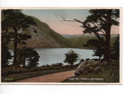 COLOURED POSTCARD - LOUGH TAY - LUGGELA  - COUNTY WICKLOW - IRELAND - Wicklow