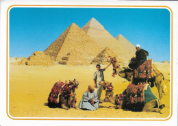 EGYPT - Giza - Pyramids - Unused Postcard - Gizeh