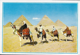 EGYPT - Giza - Pyramids - Unused Postcard - Gizeh