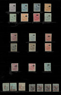 URUGUAY SOUTHERN LAPWING TERO OFICIAL STAMPS COMPLETE SET 1924,1926,1928. PRESS PRENSA 1926 AND TRAIN SOURCHARGE - Uruguay