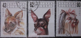 BULGARIA 1991 ~ S.G. 3785 - 3787, ~ DOGS. ~  VFU #02965 - Usados