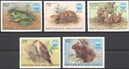 Madagascar 1975, PhilaExpo In Okinawa, Frog, Turtle, Bird, 5val IMPERFORATED - Frogs