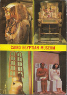 EGYPT - The Egyptian Museum Cairo - Used Postcard - Museen