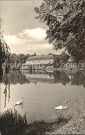 72327220 Bad Salzungen Kurhaus Am Burgsee Schwaene Bad Salzungen - Bad Salzungen