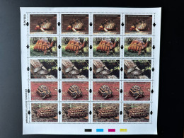 Madagascar Madagaskar 2023 Mi. ? Sheet Planche Tortues Endémiques Turtles Schildkröten Faune Fauna Reptiles Reptilien - Madagaskar (1960-...)