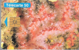 CARTE-PUBLIC-MONACO-50U-MF33-GEMA-01/95-Sans Logo-R° Glacé-PROTECTION DE LA NATURE-V° DN°Série B4B014001-TBE- - Monace