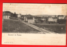 ZXP-27  Souvenir De Peseux Ligne De Chemin De Fer. Cachet 1906 Pour La Belgique - Peseux