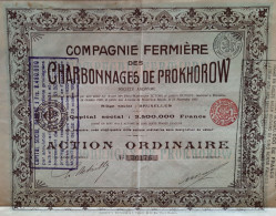 Cie Fermière Des Charbonnages De Prokhorow - Action Ordinaire (1905) - Mines