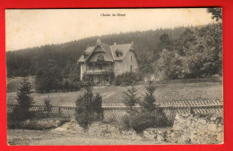 ZXP-41  Le Locle. Bétod Le Cerneux-Péquignot  Cachet Col Des Roches 1911 Vers La France. Farine Morteau - Le Locle