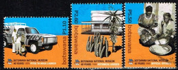 BOTSWANA / Oblitérés/Used / 2008 - 40 Ans Du Musée National - Botswana (1966-...)