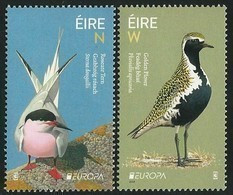 IRLANDA /IRELAND / IRLAND / ÉIRE / EUROPA 2019 -NATIONAL BIRDS.-"AVES - BIRDS - VÖGEL -OISEAUX"- SERIE De 2 V. N - 2019