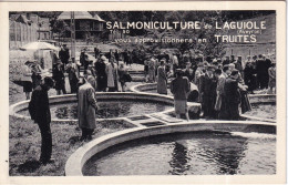 SALMONICULTURE De LAGUIOLE - Vous Approvisionnera En TRUITES - Laguiole