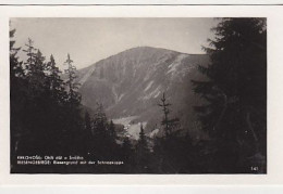 AK 202615 SUDETEN - Riesengebirge - Riesengrund Mit Der Schneekoppe - Sudeten