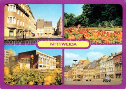 72617180 Mittweida Markt Schwanenteich Poliklinik Mittweida - Mittweida