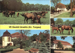 72607683 Graditz VE Gestuet Graditz - Torgau