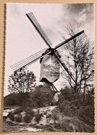 @Le3@  -  DIEST  -  Oude Molen  -  Zie / Voir / See Scan's - Diest