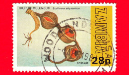 ZAMBIA - Usato - 1981 - Giornata Mondiale Della Silvicoltura - Baccelli - Erythrina Abyssinica - 28 - Zambie (1965-...)