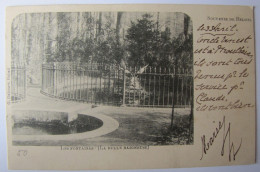 BELGIQUE - HAINAUT - BELOEIL - Le Château - Le Parc - Les Fontaines - La Belle Baigneuse - 1901 - Beloeil