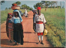 NIGERIA AFRICA NUPE COUNTRY POSTCARD ANSICHTSKARTE PICTURE CARTOLINA PHOTO CARD CARTE POSTALE POSTKARTE - Afrique Du Sud