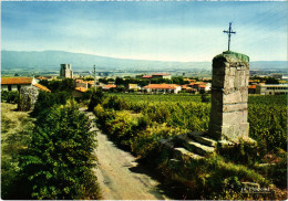 CPM Trets Chemin Du Petit St-Jean FRANCE (1377096) - Trets