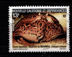 - Nelle CALEDONIE - 1984 - YT N° 487 - Oblitéré - Protection Nature - - Used Stamps