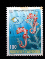 - Nelle CALEDONIE - 1997 - YT N° 740 - Oblitérés - Hippocampus - Used Stamps