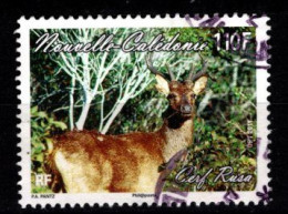 - Nelle CALEDONIE - 2011 - YT N° 1132 - Oblitérés - Cerf Rusa - Gebruikt