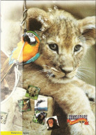 -  ITALIA 2003 - FOLDER - ZOO SAFARI Di FASANO - Animali - Cat. ? € - - Folder