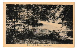 Forêt De Soignes Etang De L' Ermite Bruxelles - Parks, Gärten