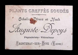 Carte De Visite, Plants Greffés Soudés, Auguste Depoys, Pépinièriste , Viticulteur, 86, Vienne, Frontenay Sur Dive - Cartes De Visite