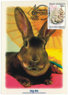 MAX 18 - 443 RABBIT, Romania - Maximum Card - 1998 - Conejos