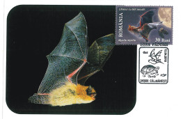 MAX 18 - 215 BAT, Romania - Maximum Card - 2010 - Chauve-souris