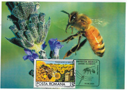 MAX 18 - 692 HONEY BEE, Romania - Maximum Card - 2006 - Abeilles