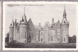 Cpa Jamoigne  Chateau - Chiny