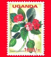 UGANDA - Usato - 2005 - Piante Floreali - Fiori - Impatiens Walleriana - 1600/- - Ouganda (1962-...)