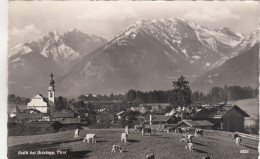 E4542) REITH Bei BRIXLEGG - Tirol - Wiese Mit Kühen U. Kirche Dahinter ALT ! - Brixlegg