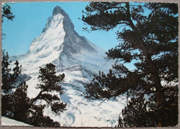 SWITZERLAND SWISS SCHWEIZ HELVETIA WALLIS VALAIS MT CARD KARTE ANSICHTSKARTE POSTCARD CARTOLINA CARTE POSTALE POSTKARTE - Klosters